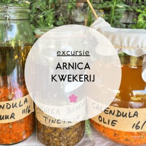 Excursie Arnica kwekerij