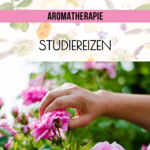 Studiereizen