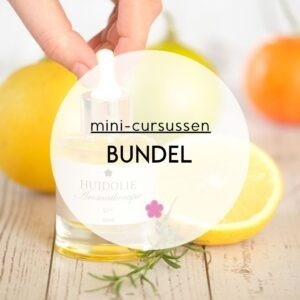 minicursussen bundel